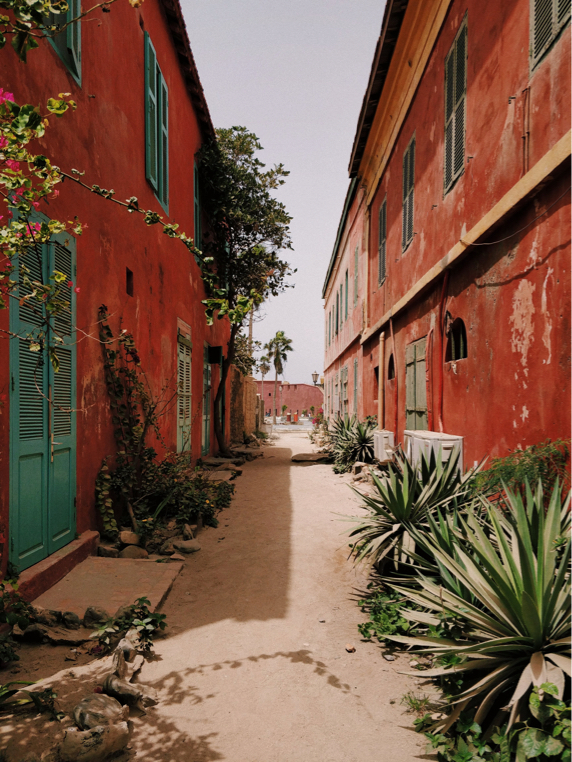 image-of-senegal
