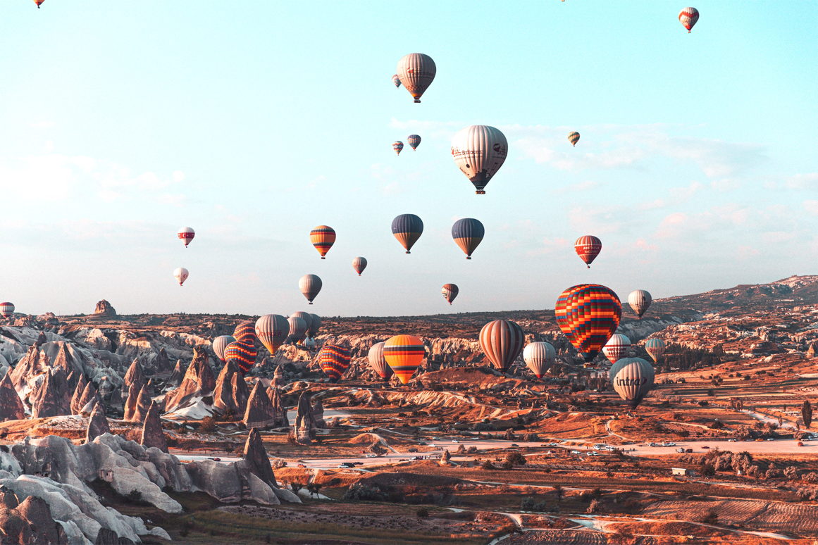 image-of-turkey